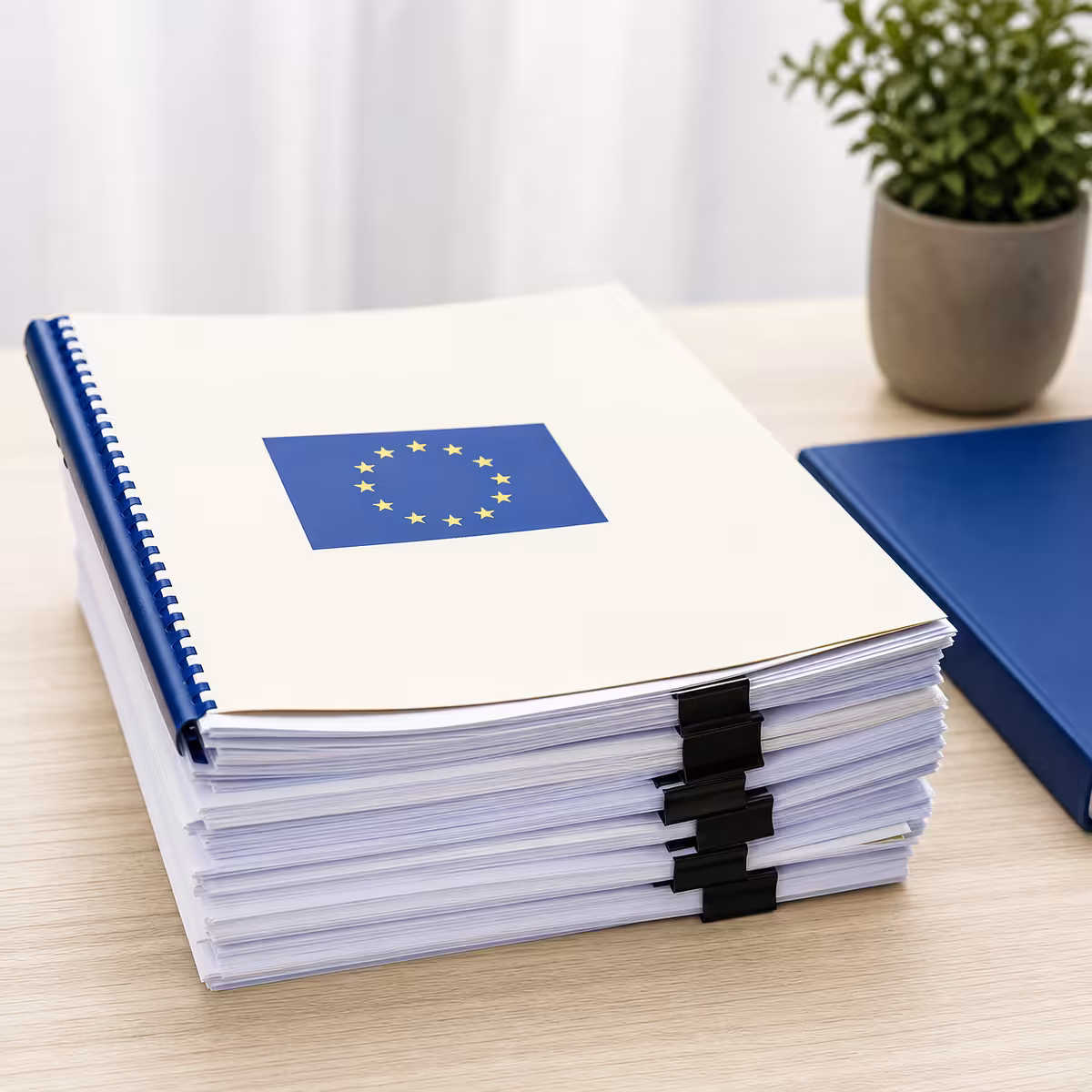 Consultanță finanțări și granturi (fonduri europene)